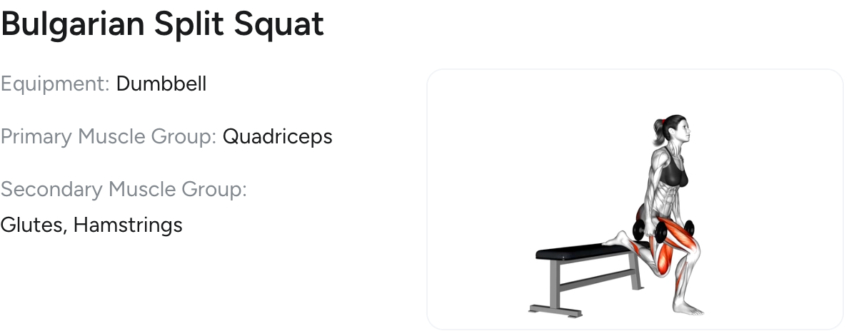 Bulgarian Split Squat in Hevy
